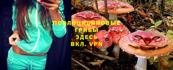 не бодяженный Алзамай