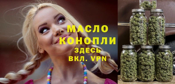 индика Переславль-Залесский