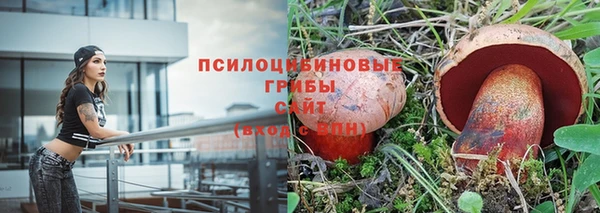 дурь Алексеевка