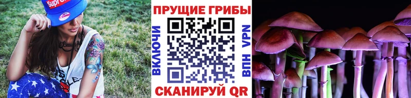 Псилоцибиновые грибы Psilocybine cubensis  где купить наркотик  Ейск 